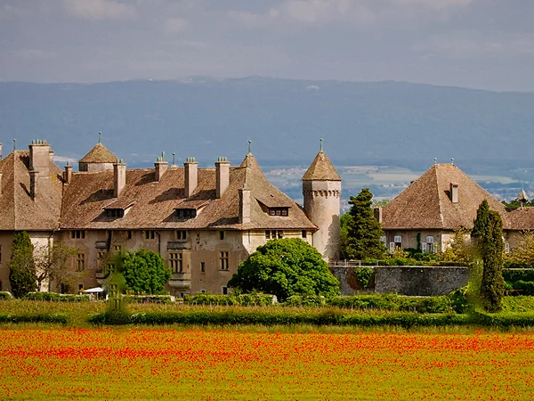 Visite individuelle